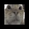 weewcube