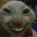 futacat Discord emoji