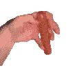 sausag