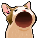 Pog Cat pogcat Discord Emoji