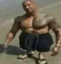 therock therock
