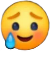 ts_icongotnuocmat ts_icongotnuocmat