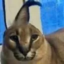 aaaaaaaaaaaaaaaaaaaaaaaaaaaaaa
