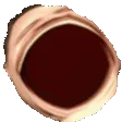 omegaLmao