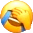 tj_facepalmlol tj_facepalmlol