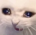 nyaaCry