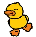 HW_duck HW_duck