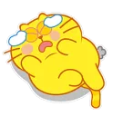 HW_catcry