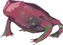 acridfrog