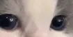 huh