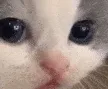wot