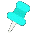 8388rainbowpin