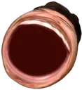 dougMEGALUL