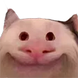 KEKSmile KEKSmile