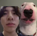 ks_bts_jkdog ks_bts_jkdog