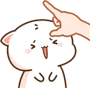 catflickyou
