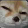 VixenWhat