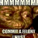 commit_a_felony_i_must