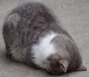 Ded