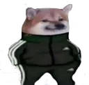 ChromaDisappointment