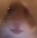 wha