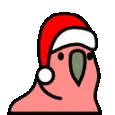 birdjam birdjam