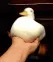 UDUduckhand