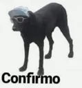 D_Confirmo
