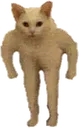 hotcat hotcat