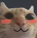 GH_CatBlush
