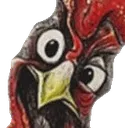 RoosterLooking