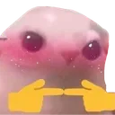 bonkusblush