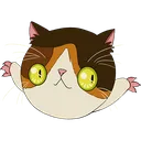 NeuShruggie