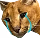 SadFloppa