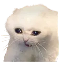 sad