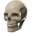 skullspin skullspin