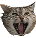KatW KatW