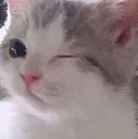gBKwink