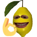 lemurcOK