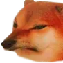 AngryDoge