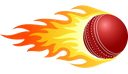 fireball Discord emoji