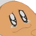 Kawasaki_HappyTears Kawasaki_HappyTears