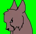 Lynx Lynx