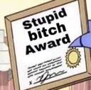 stupidbitchaward stupidbitchaward