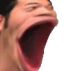 bigmouthpog