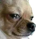 sadboi sadboi