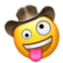 zany_cowboy zany_cowboy