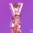 beidoudance