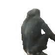 monkeflip
