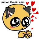 catshy